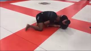 craig jones vs tim spriggs 2019 submission only jiujitsu [upl. by Ilamad637]