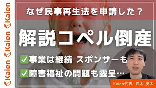 解説！児童発達支援最大手の【コペル倒産】 なぜ民事再生法を申請？ [upl. by Mandel]