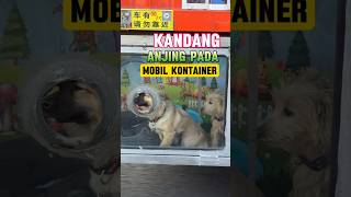 Kandang Anjing di Mobil Kontainer shorts shortvideo [upl. by Eelahc]