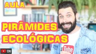 Pirâmides Ecológicas  Ecologia  Biologia com Samuel Cunha [upl. by Nowujalo18]