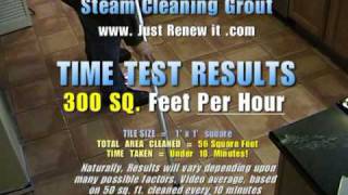 CLEAN GROUT WITH A STEAM CLEANER  VAPOR STEAM CLEANER how fast TRAINING VIDEO [upl. by Benenson]