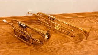 Trumpet vs Cornet  Comparison and Demonstration [upl. by Euqirat255]