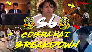 NEW Cobra Kai Season 6 Trailer FULL BREAKDOWN [upl. by Adniled]