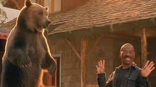 Dr Dolittle 2 2001 Movie Explained  Movie Explanation [upl. by Pirali]