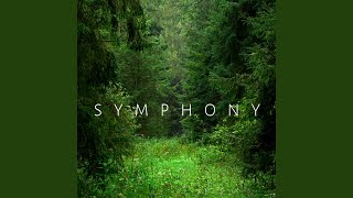 Symphony [upl. by Notgnimer]