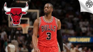 Dwyane Wade Top 10 Plays For The Bulls 201617 Season [upl. by Ohce387]