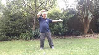 tai chi qigong v2 for National Rail wellbeing channel [upl. by Maroj]