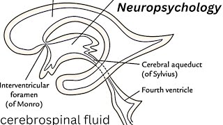 WHAT is NEURODEGENERATIVE [upl. by Campball]