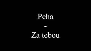 Peha  Za tebou Text Lyrics [upl. by Ahsetra]