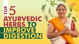 How To Improve Digestion  Top 5 Ayurvedic Herbs For Gut Health  Digestive Problems  Dr Hansaji [upl. by Ahsieym]