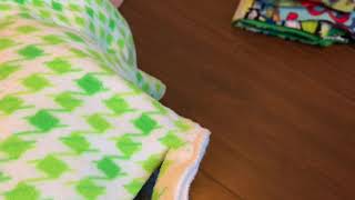 DIY Pet Blankets [upl. by Freeborn899]