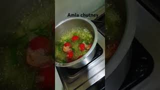 Homemade Amla chutney recipe 🤤😋enjoying cooking [upl. by Moht]