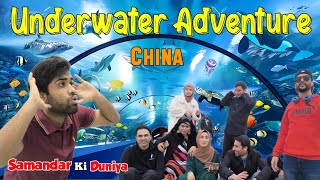 Deep Sea Tunnel Experience in Qinhuangdao China  China Travel Vlog [upl. by Toma362]