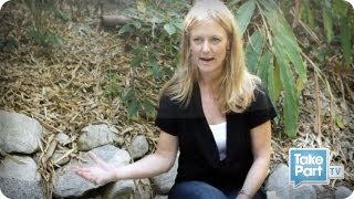 Infectious Disease Expert Anne Rimoin Interview⎢Virus Hunters⎢TakePart TV [upl. by Rey661]