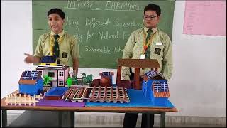 ST DOMINIC SAVIOS HIGH SCHOOL S SCIENCE PROJECT [upl. by Gierc834]