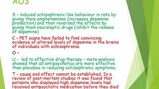 Dopamine Hypothesis of Schizophrenia [upl. by Alphonse858]