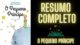 📚Livro O PEQUENO PRÍNCIPE I Resumido📚 [upl. by Hunger]