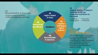 Key Characteristics That Make IntelliBond Unique [upl. by Atiekram]