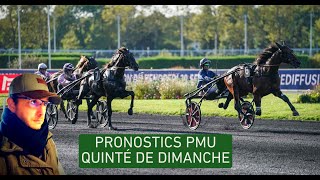 Le Pronostic de Simon pour le quinté du dimanche 4 février 2024 by PronoTurfGratuitfr [upl. by Lowson]