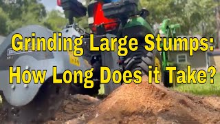 How Long Does it Take to Grind a Large Stump [upl. by Ahsinot169]