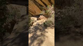 Exploring Anasazi Ruins  Colorado hiking nationalpark adventure mountains [upl. by Sitarski]