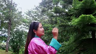 SERGYEL MUSIC VIDEO FT DORJI WANGMO [upl. by Enidan]