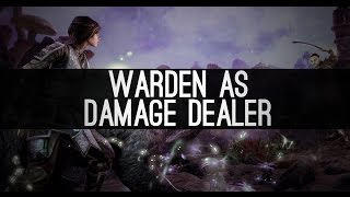 Warden as a Damage Dealer First Impression  Morrowind [upl. by Rafaelia]