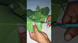 Creativity in leaves Ganesh ji 🥰❤️ creativity  viral shortvideo [upl. by Celestina287]