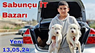 Sabunçu İT Bazarı 12 may 2024 mubarizemintv2271 [upl. by Aneehsit435]