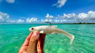 Buscando un GIGANTE del Caribe Mexicano  Pesca de Sábalo Palometa y más [upl. by Julietta278]