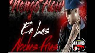 Ñengo Flow Nova y Jory  En las Noches Frias Remix Estreno 2011 [upl. by Melody]