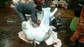 Amazing Cow Full Cutting  Full Cow Meet processing 2024 [upl. by Tsenre330]