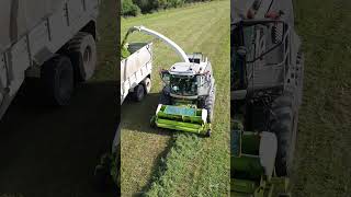 Hill silage with Claas Jaguar 980 Fendt New Holland Case IH  Harvesting of sown alfalfa  2024 [upl. by Schwenk]