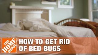 How to Get Rid of Bed Bugs  DIY Pest Control  The Home Depot [upl. by Acnoib]