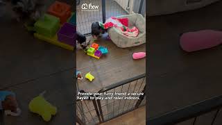 FXW Indoor Dog Playpen For Sale [upl. by Sutniuq928]