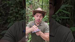 Tuto  BOWHUNTING 🏹 mentawai tribe bow traditional culture plants forest tutorial nature [upl. by Feodor]