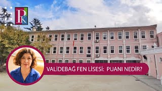 VALÄ°DEBAÄ FEN LÄ°SESÄ° HANGÄ° YÃœZDELÄ°K DÄ°LÄ°MDEN ALIYOR PUANI NEDÄ°R [upl. by Hebrew]