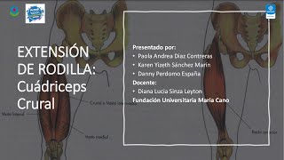 Video Cuádriceps crural Extensión de rodilla [upl. by O'Neill632]