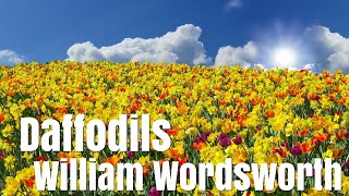 William Wordsworth  I Wandered Lonely as a Cloud Daffodils  Poetry reading with text [upl. by Abdulla]