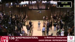 ARQANA  Vente dAoût 2015  REPLAY Day 2 [upl. by Vincenty]