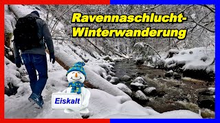 Wanderung durch die Ravennaschlucht ab Bahnhof Hinterzarten  eine frostige Angelegenheit 🐻‍❄️😉 [upl. by Sert]