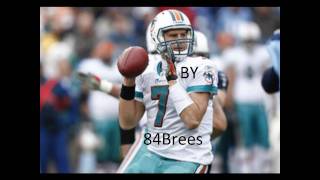 Miami Dolphins Fight Song by TPain Images and Lyrics [upl. by Ahsilad]