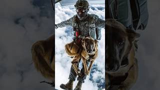 Former Navy SEAL Explains Why Dogs LOVE Skydiving [upl. by Yrak518]