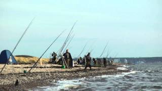 Fehmarn    Püttsee    Angler am Nachmittag [upl. by Noroj154]