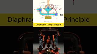 Diaphragm pump principle trending automobile engineeing [upl. by Auqkinahs351]