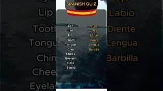 Learn The Body Parts in Spanish El Cuerpo The Body [upl. by Holey]