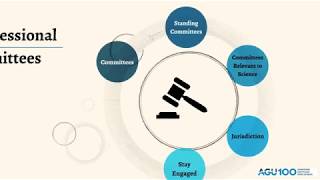 What are Congressional Committees [upl. by Yelwah]