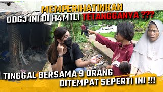 SANGAT MEMPERIHATINKAN ODGJ INI DI H4M1L1 TETANGGANYA  DAN TINGGAL DITEMPAT SEPERTI INI [upl. by Einor]