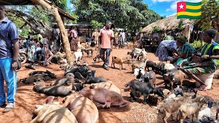 Rural African village market day in Vogan Togo west Africa 🌍 [upl. by Ardnaxela664]