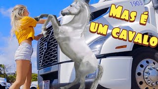 VOLTA PRA CARRETA CAVALO XUCRO [upl. by Dinnie]